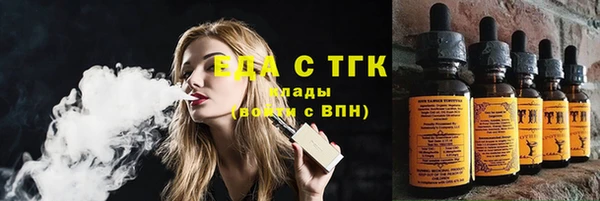 индика Богданович