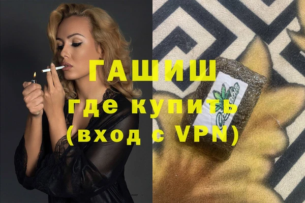 индика Богданович