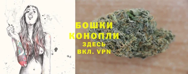 МДПВ Богородицк
