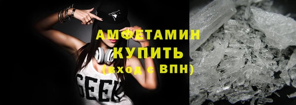 индика Богданович