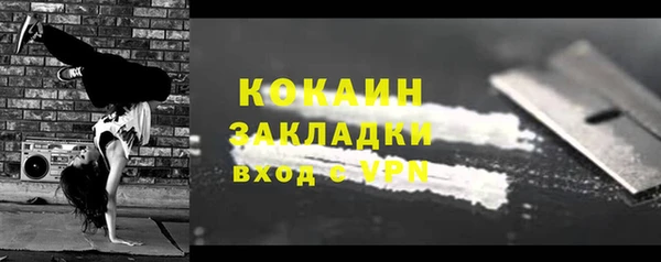 индика Богданович