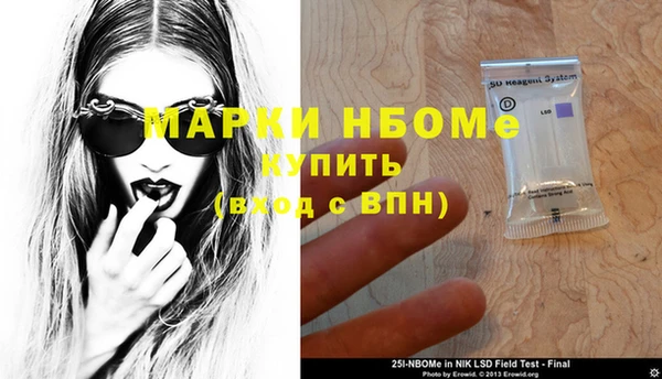 индика Богданович