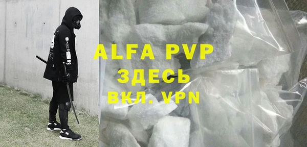 индика Богданович