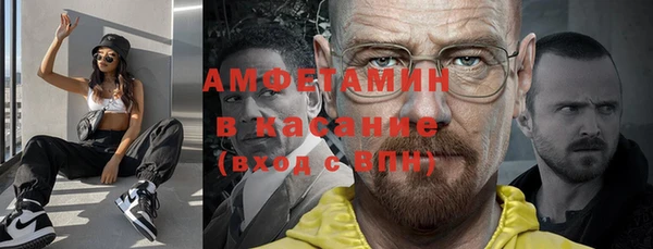 индика Богданович