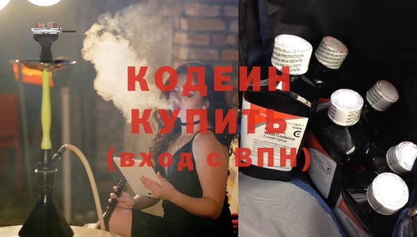индика Богданович